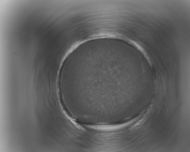 X0000064051373200602031612