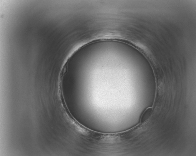 X0000064051374200602031612