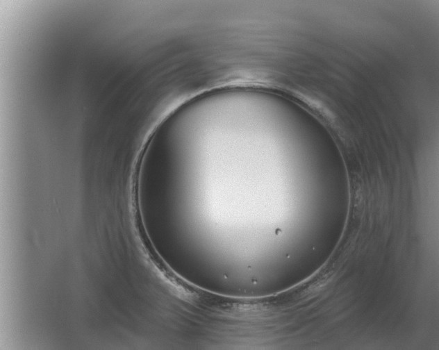 X0000064051375200602031612