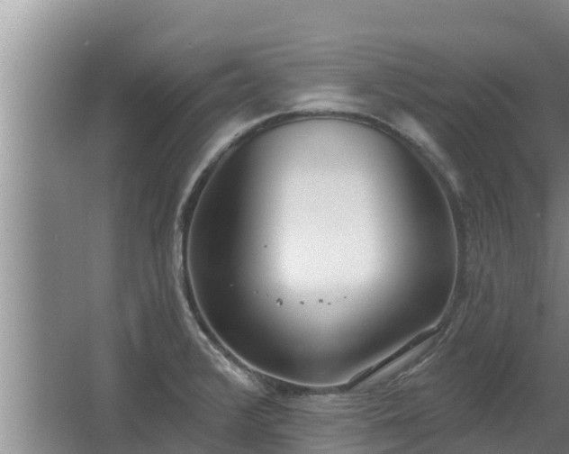 X0000064051376200602031612