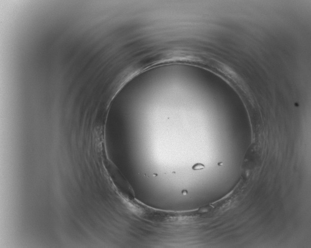 X0000064051377200602031612