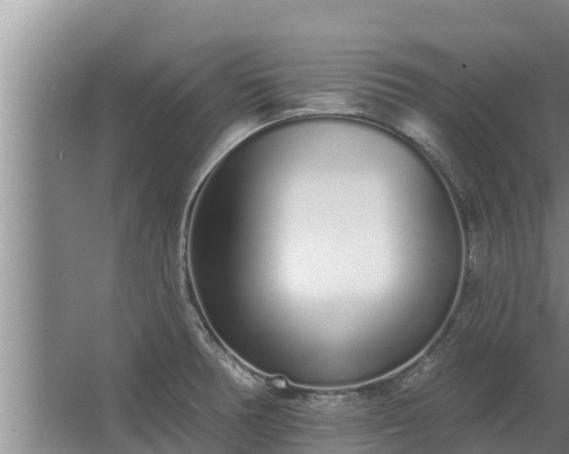 X0000064051378200602031612