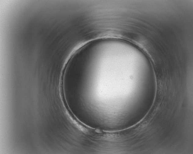 X0000064051379200602031612