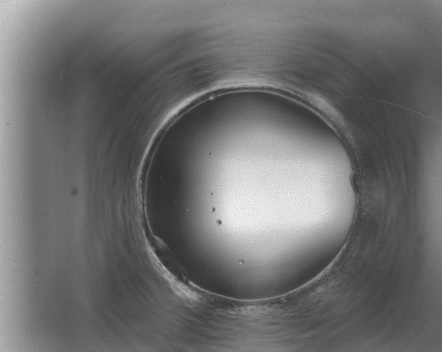 X0000064051380200602031612