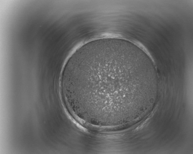 X0000064051381200602031612