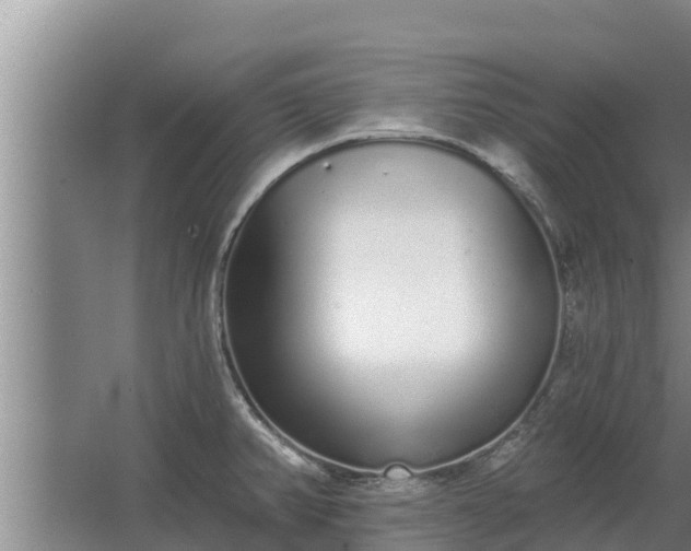 X0000064051382200602031612