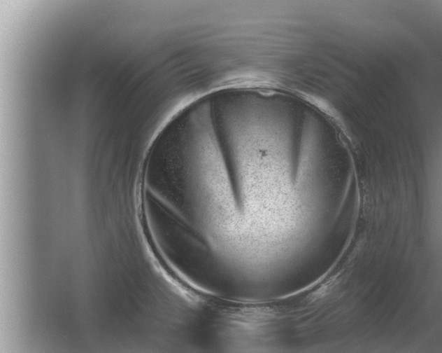 X0000064051383200602031612