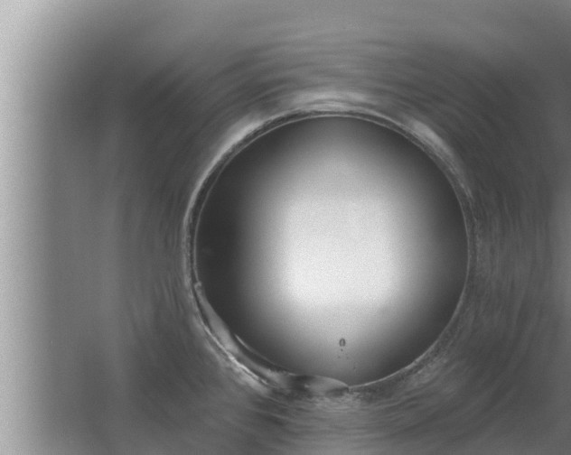 X0000064051384200602031612