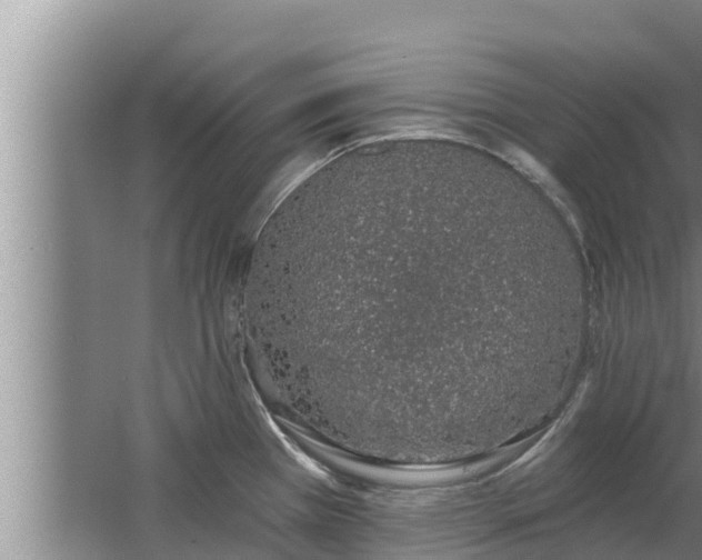 X0000064051385200602031612