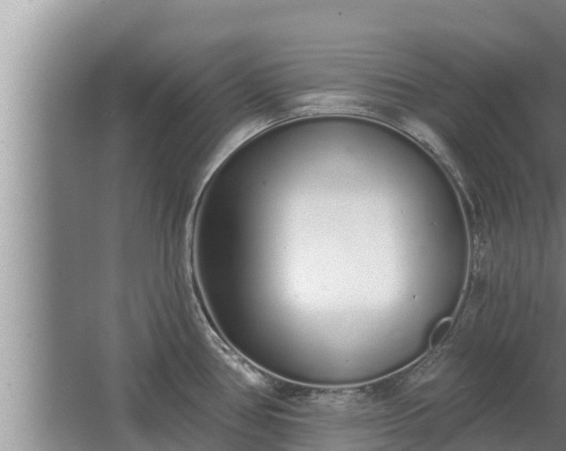 X0000064051386200602031612