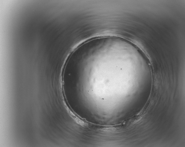 X0000064051388200602031612