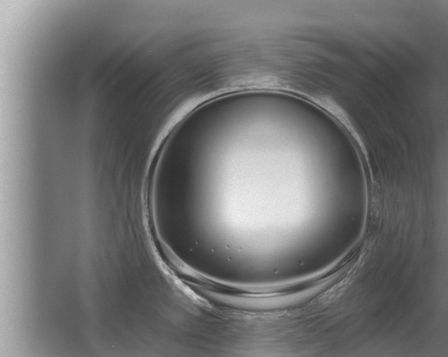 X0000064051389200602031612