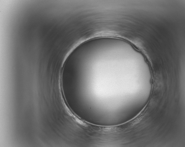 X0000064051390200602031612