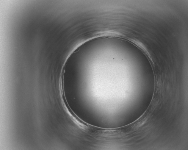 X0000064051391200602031612