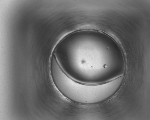 X0000064051392200602031612