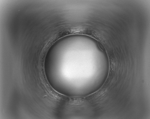 X0000064051393200602031611