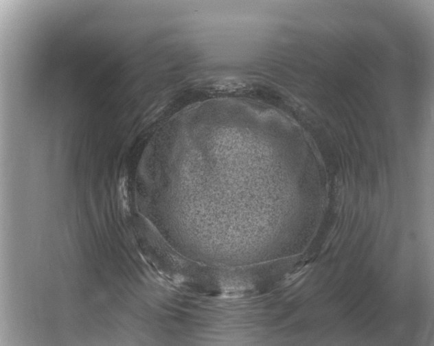 X0000064051394200602031611