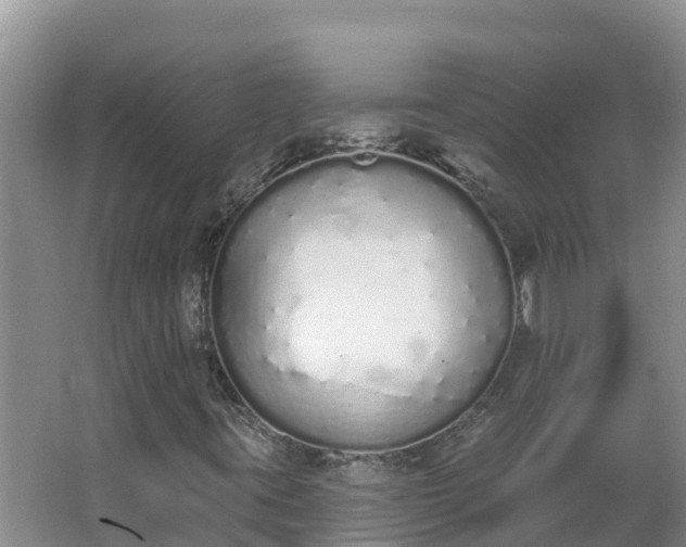 X0000064051395200602031611