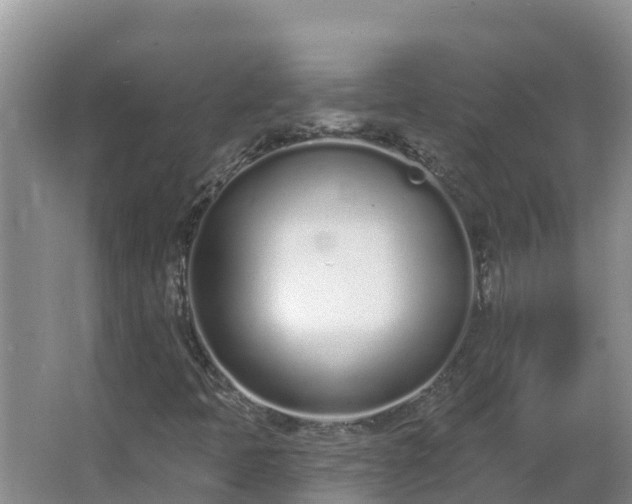 X0000064051397200602031611