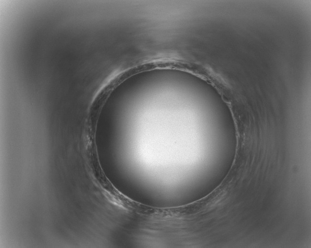 X0000064051400200602031611