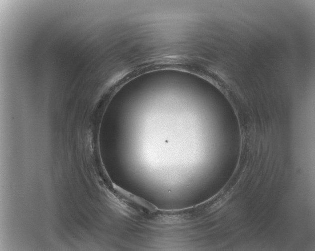 X0000064051402200602031611