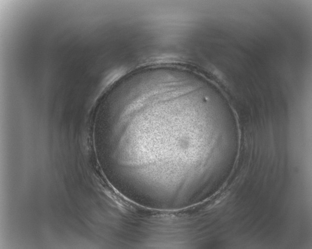 X0000064051405200602031611