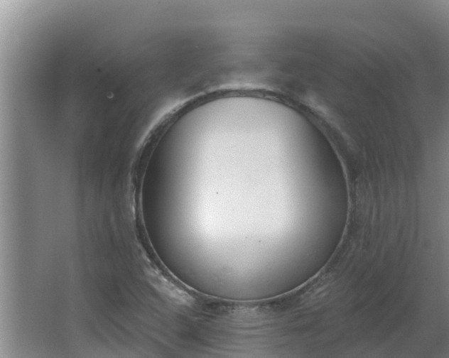 X0000064051408200602031611