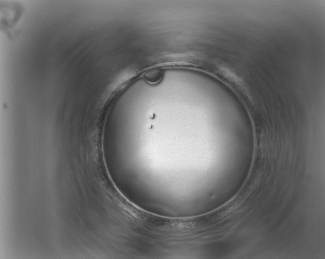 X0000064051411200602031611