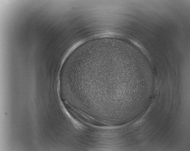 X0000064051418200602031611