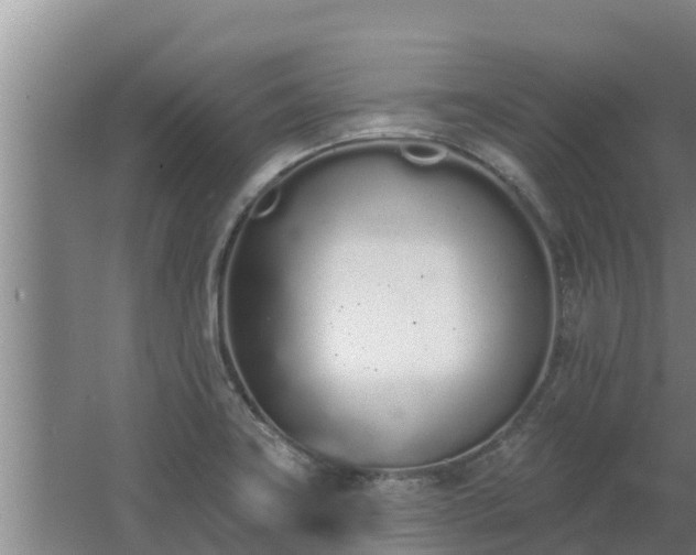 X0000064051419200602031611