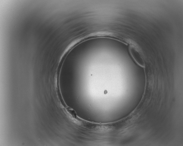 X0000064051420200602031612