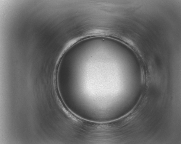 X0000064051421200602031612