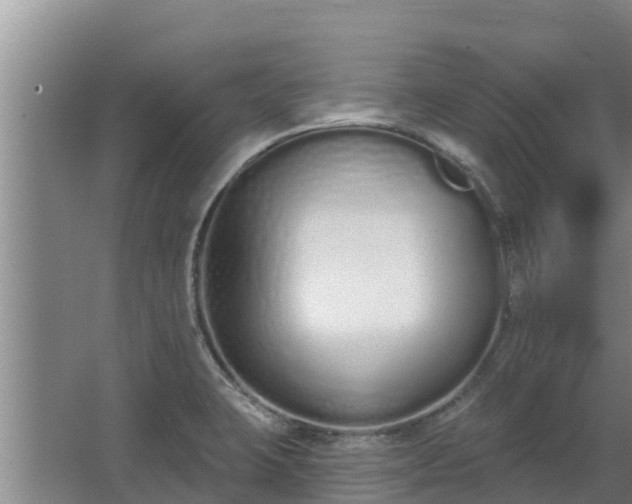 X0000064051423200602031612