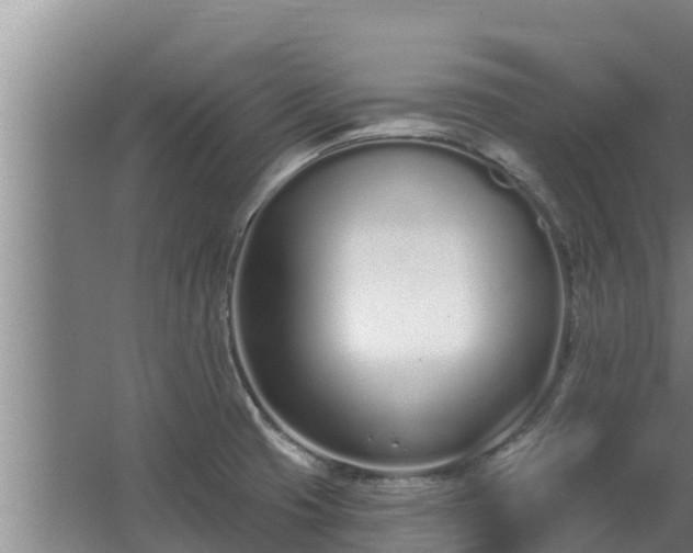 X0000064051425200602031612