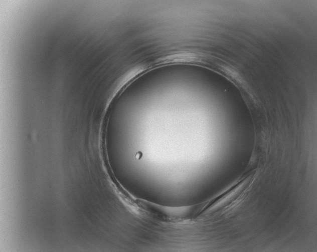 X0000064051426200602031612