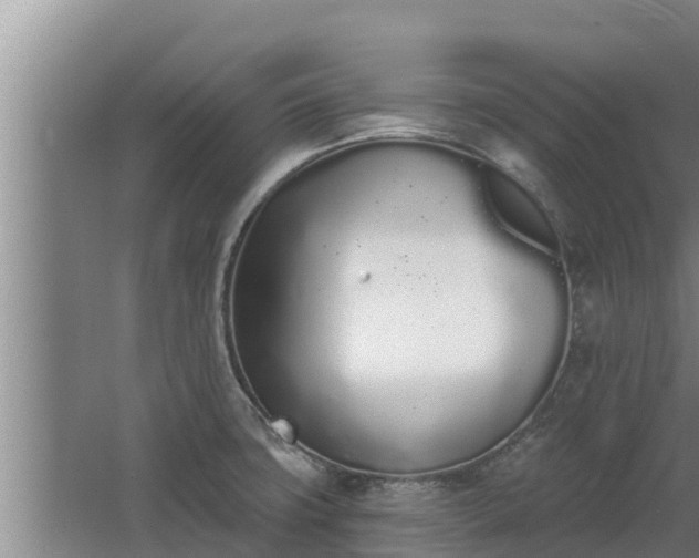 X0000064051427200602031612