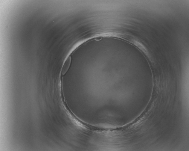 X0000064051428200602031612