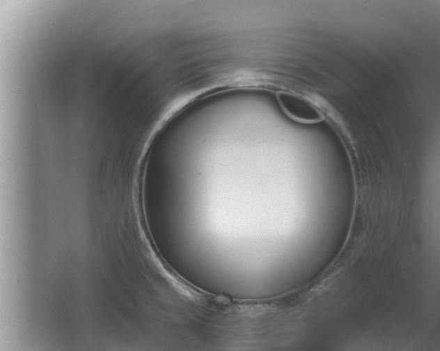 X0000064051429200602031612