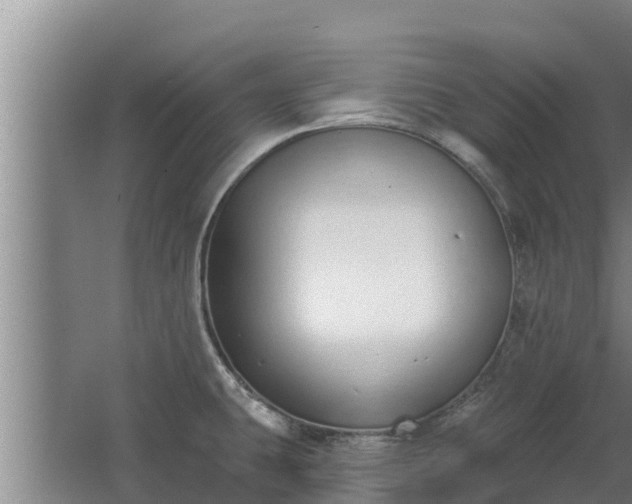 X0000064051431200602031612