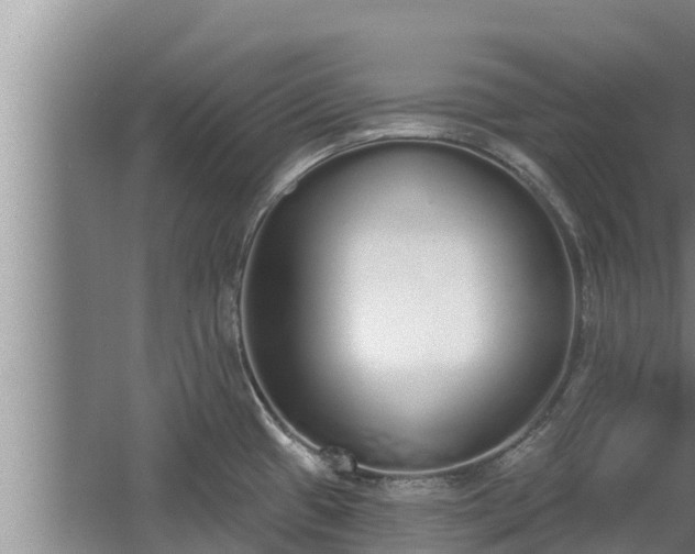 X0000064051433200602031612