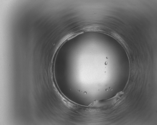 X0000064051434200602031612