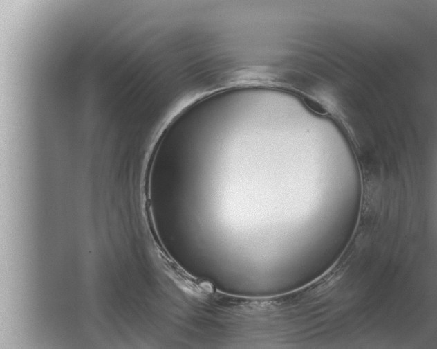 X0000064051435200602031612