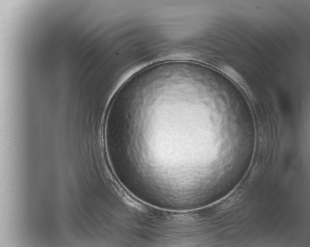 X0000064051436200602031612