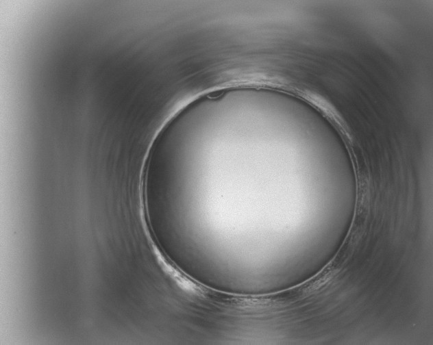 X0000064051439200602031612