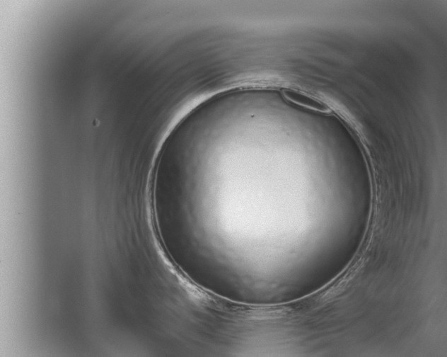 X0000064051440200602031612