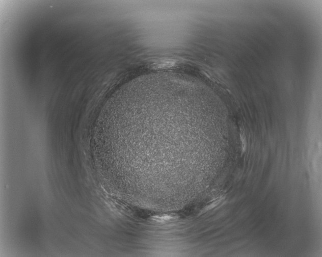 X0000064051441200602031611