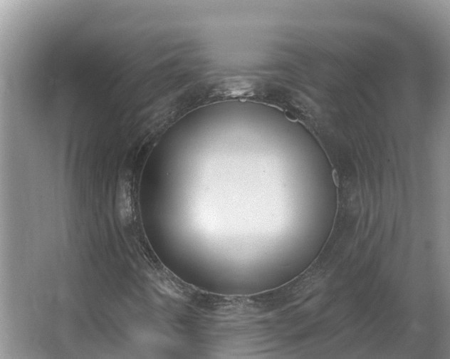 X0000064051442200602031611