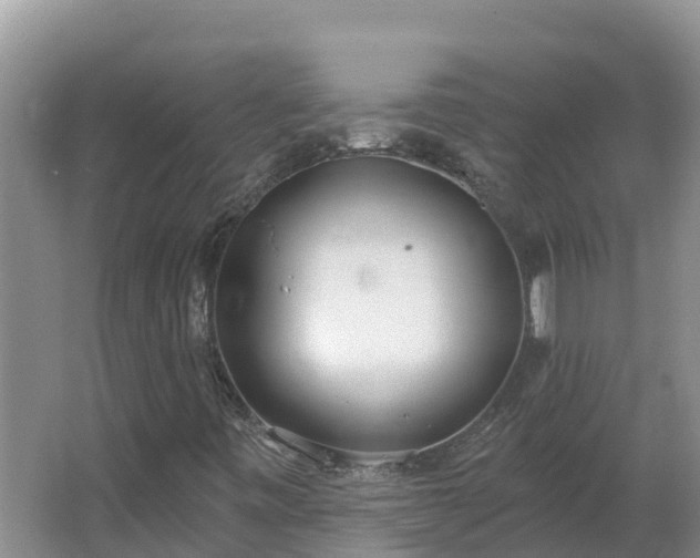 X0000064051443200602031611