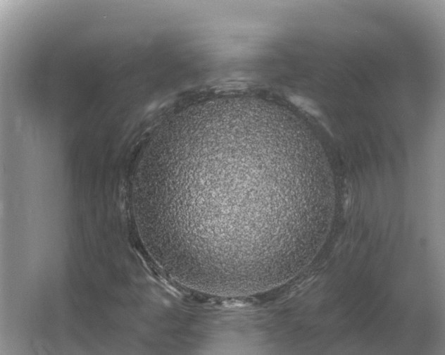 X0000064051445200602031611