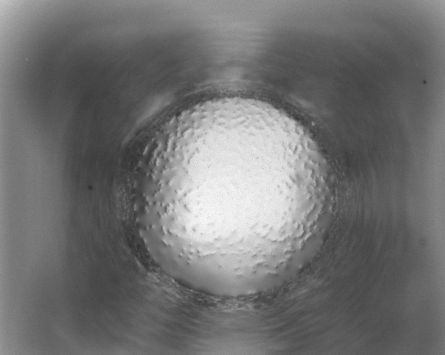 X0000064051446200602031611